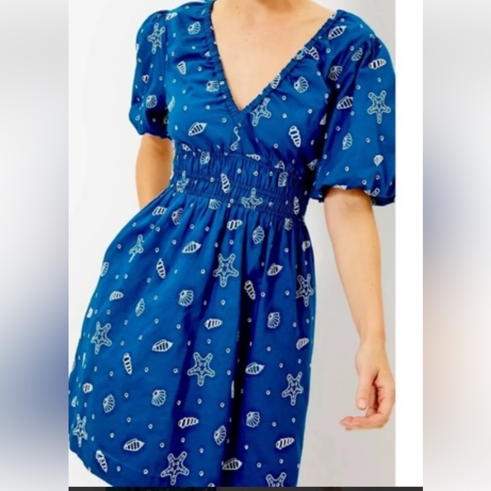 Lilly Pulitzer Kilynn Dress